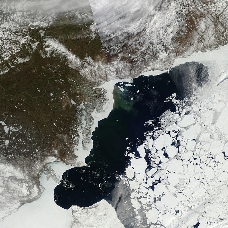 The image above shows a May 21, 2016 view of Arctic sea ice in the Beaufort Sea from the Moderate Resolution Imaging Spectroradiometer (MODIS) sensor. (Image: Land Atmosphere Near-Real Time Capability for EOS (LANCE) System, NASA/GSFC)